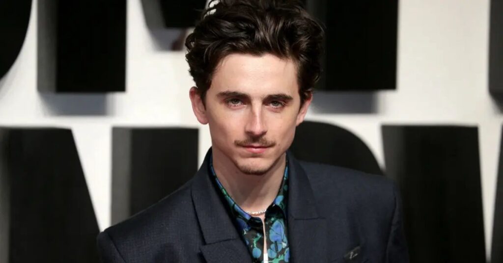 Timothée Chalamet Key Factors Behind His Net Worth Growth