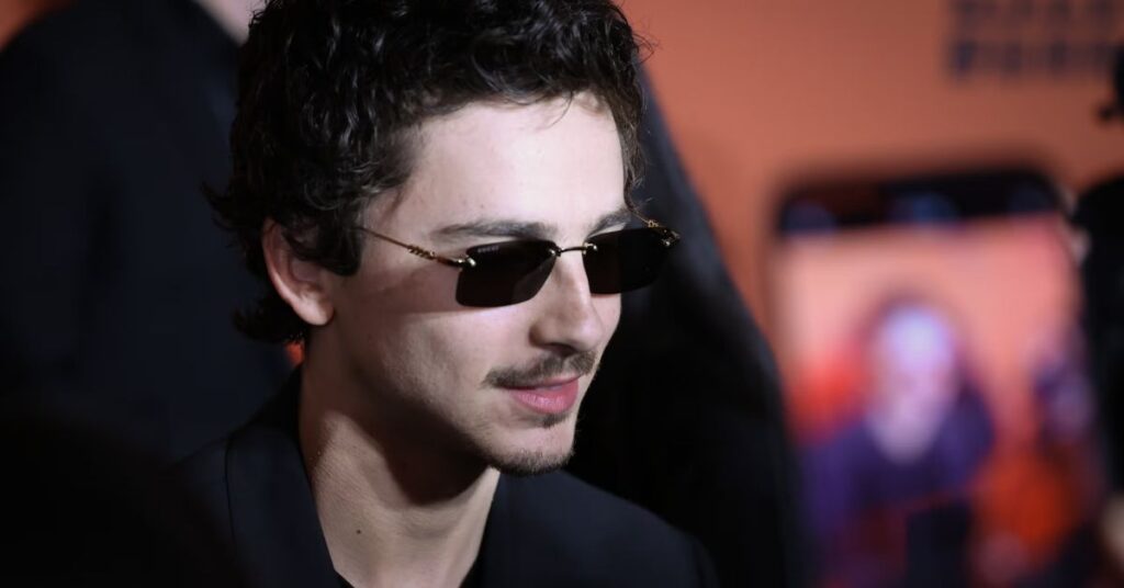 Timothée Chalamet’s Career Growth and Success