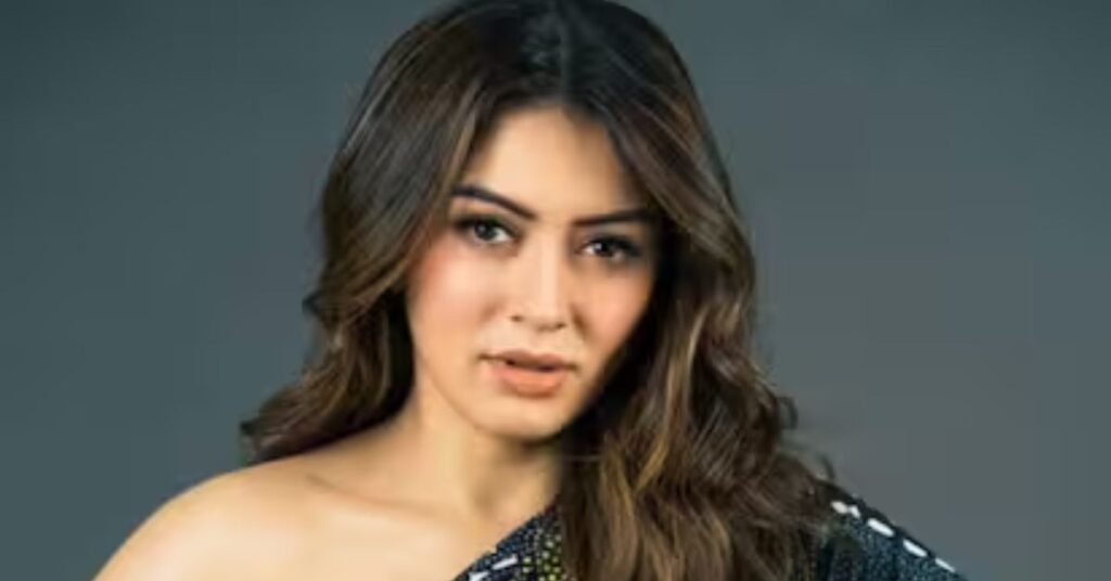 hansika motwani Net Worth / Wealth & Income